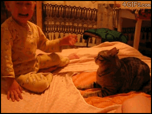 children-owned-by-animals-revenge-cat